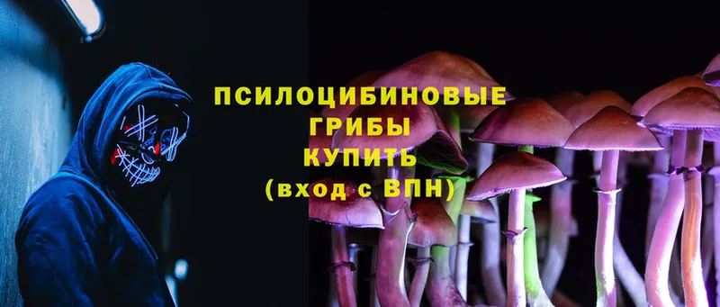 Галлюциногенные грибы Cubensis Йошкар-Ола